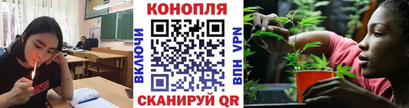 Где купить наркотики Болхов Кетамин  Каннабис  блэк спрут онион  Меф  ГАШИШ  Alpha-PVP  COCAIN 