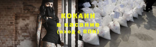 твердый Алзамай