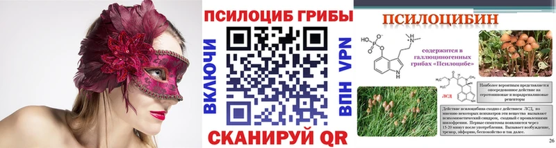 mega как зайти  Болхов  Галлюциногенные грибы MAGIC MUSHROOMS  купить  